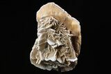 Selenite Desert Rose on Stand - Chihuahua, Mexico #264525-2